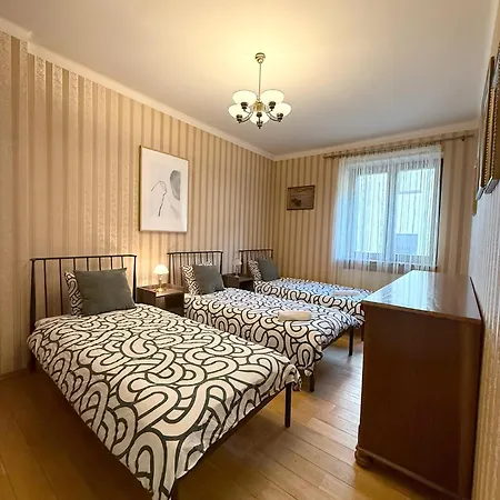 Apartment 15 - Duze Mieszkanie W Centrum Dla 9 Osob